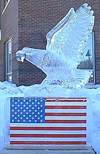 [Image - two block Eagle landing on an American Flag ]