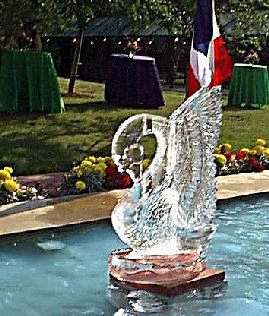 Click on image to view full size [Image - Single Swan Floating in a Fountain]